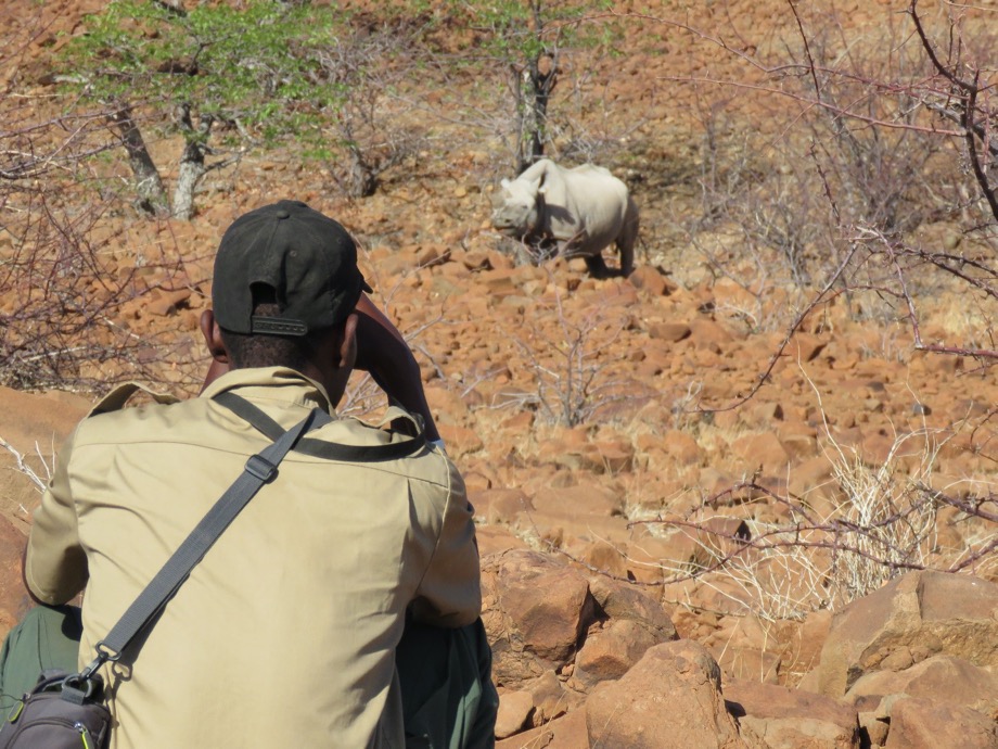 Tracking Rhinos on the Road to Recovery Rhino Recovery Fund